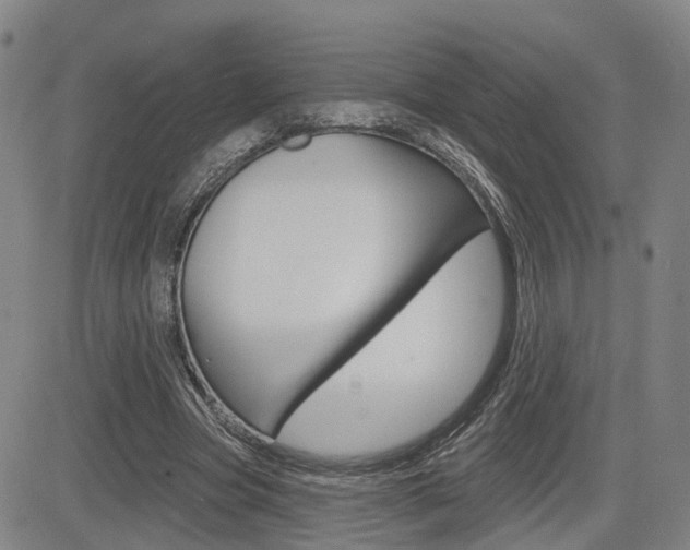 X0000085060537200703051035
