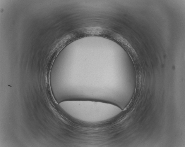 X0000085060541200703051035