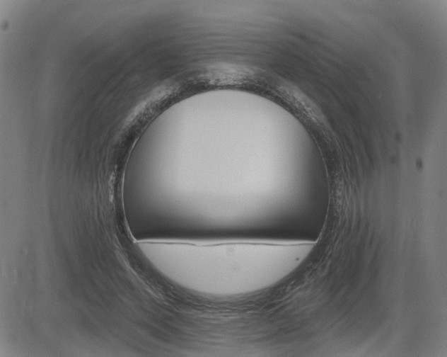 X0000085060543200703051035
