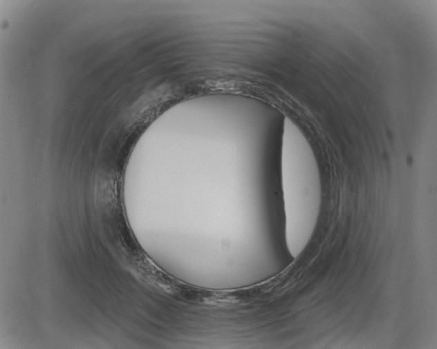 X0000085060603200703051034