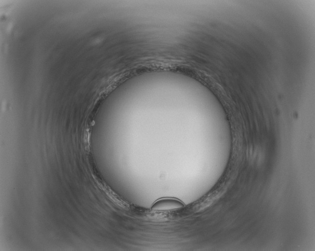X0000085060624200703051034