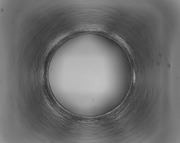 X0000085060627200703051033