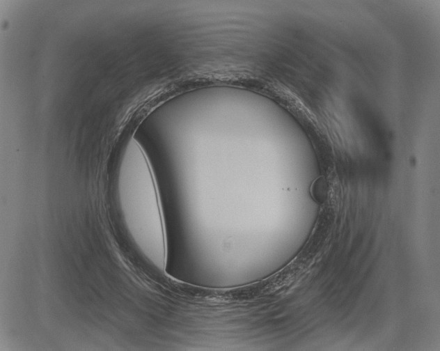 X0000085060635200703051033