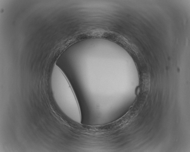 X0000085060641200703051033