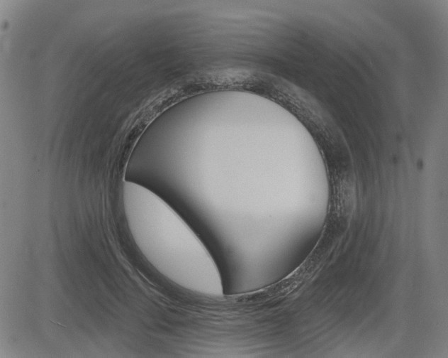X0000085060644200703051033