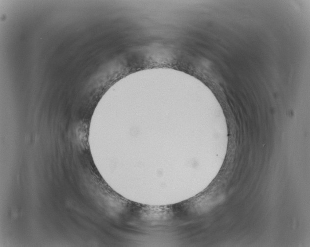 X0000085060672200703051034