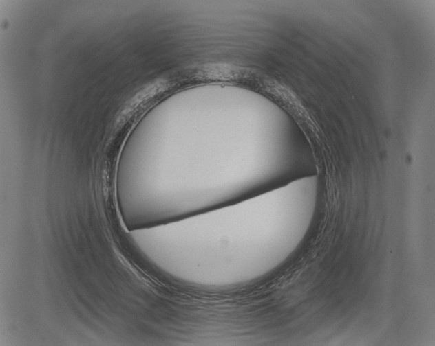 X0000085060683200703051033