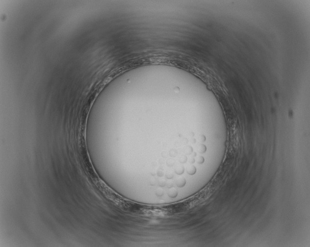 X0000085060698200703051033