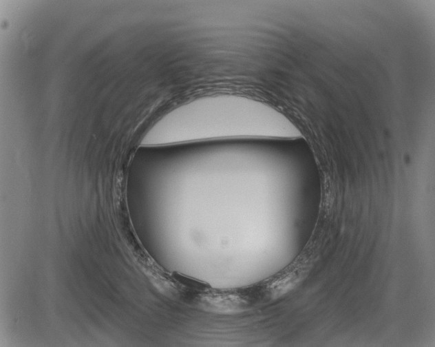X0000085060712200703051032