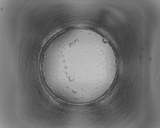 X0000085060721200703051031