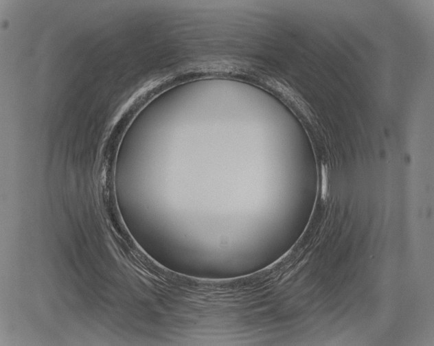 X0000085060723200703051031