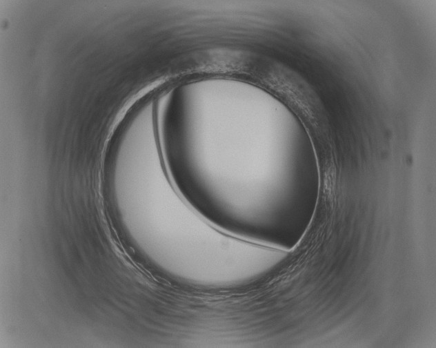 X0000085060724200703051031