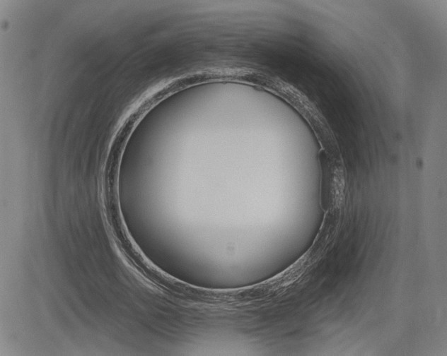 X0000085060726200703051032