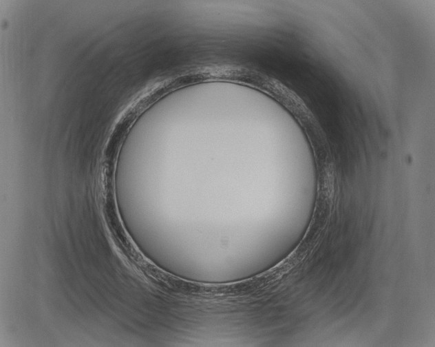 X0000085060730200703051032