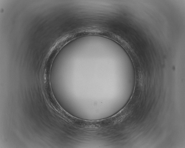 X0000085060731200703051032