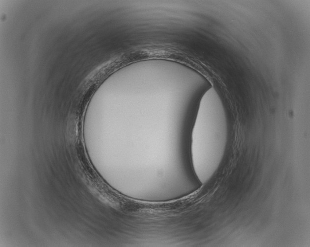 X0000085060733200703051032