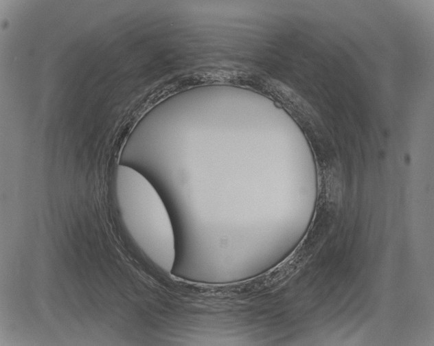 X0000085060737200703051032