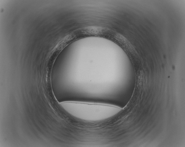 X0000085060739200703051032