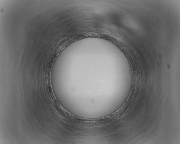 X0000085060749200703051032