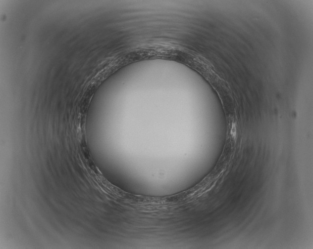 X0000085060771200703051031
