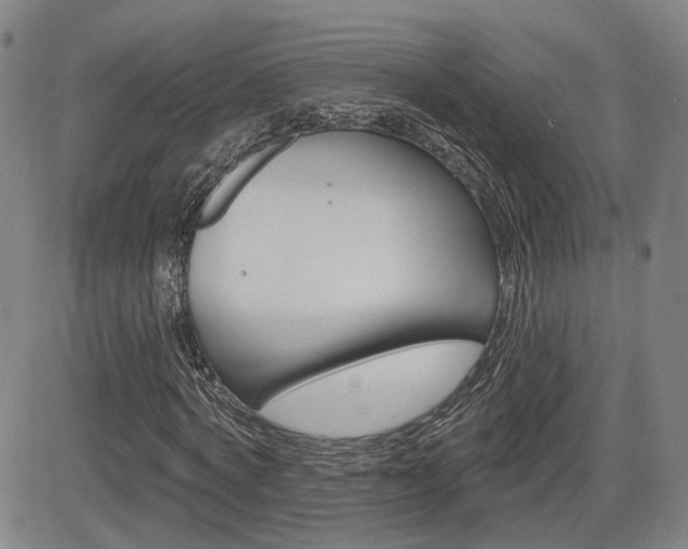 X0000085060772200703051031