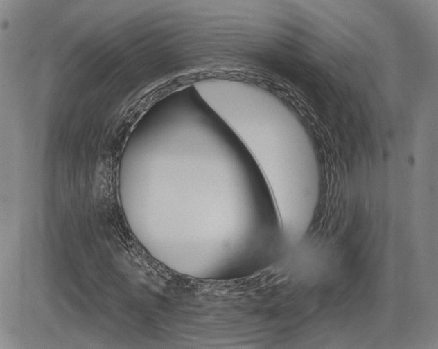 X0000085060773200703051031