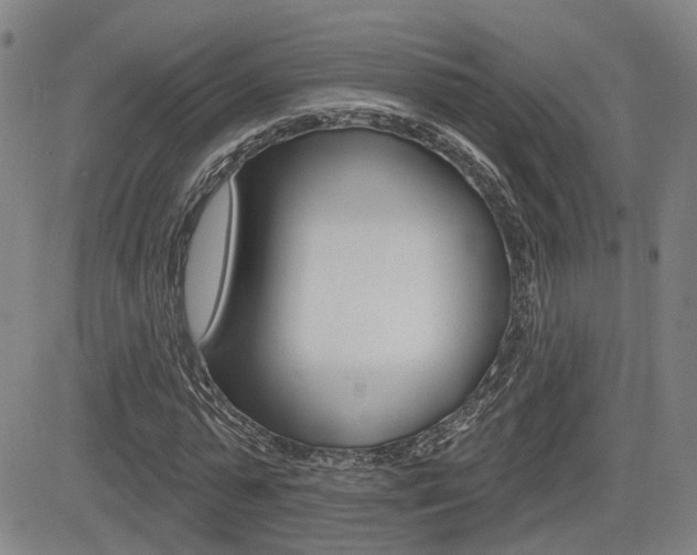 X0000085060775200703051031