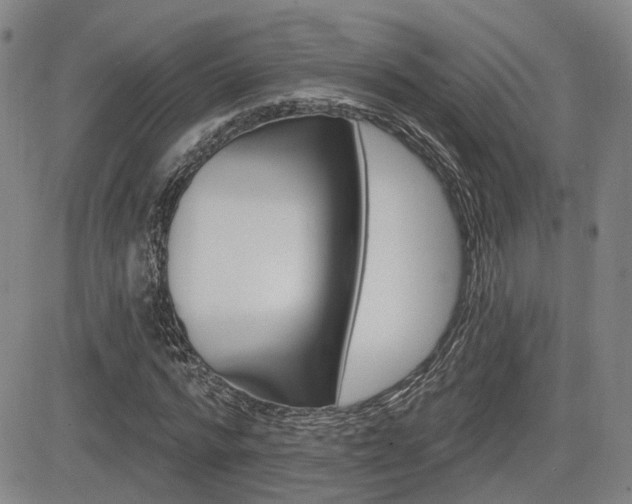 X0000085060776200703051031