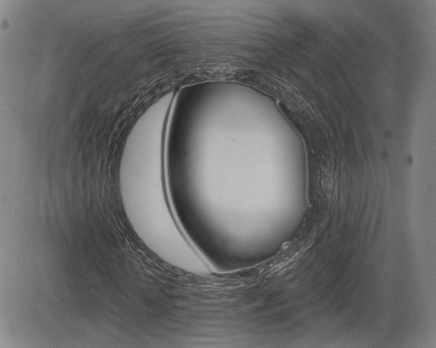 X0000085060818200703051030