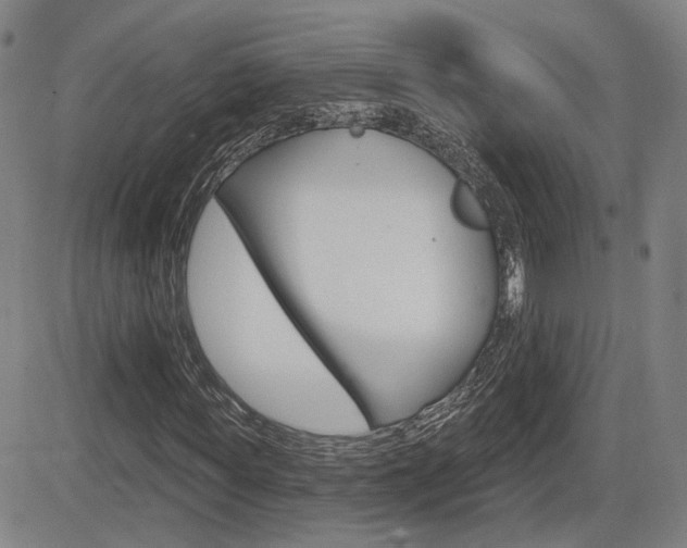 X0000085060819200703051030