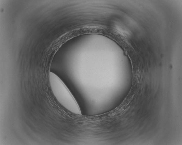 X0000085060821200703051030