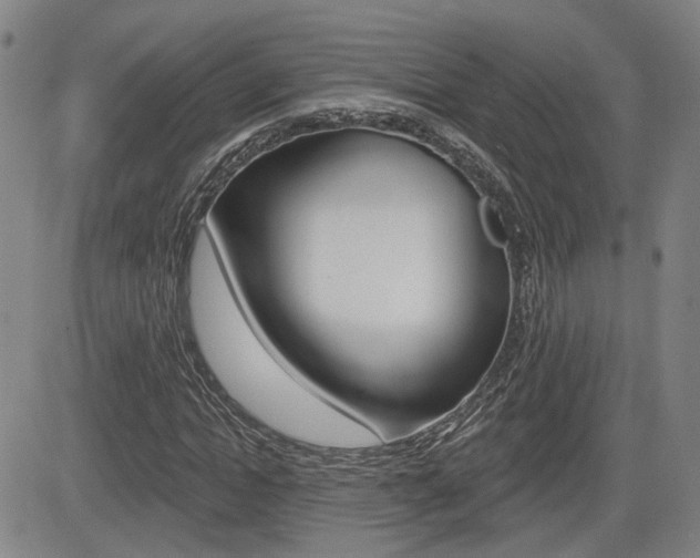 X0000085060822200703051030