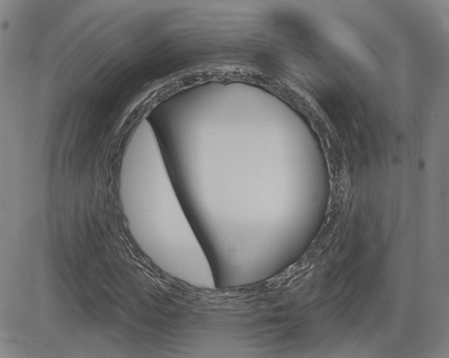 X0000085060823200703051030