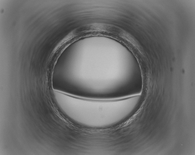 X0000085060826200703051030