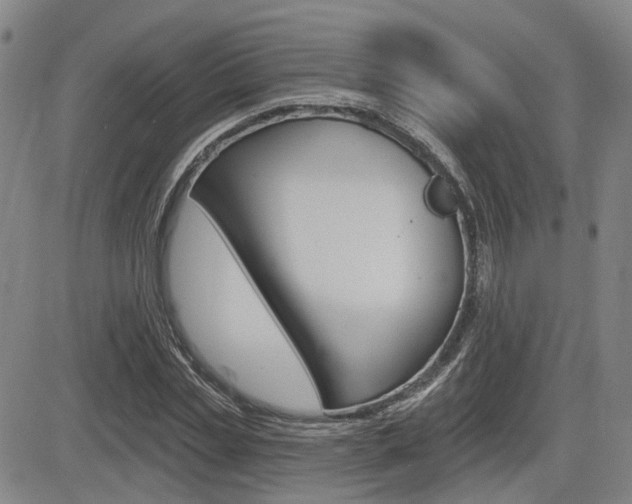 X0000085060829200703051030