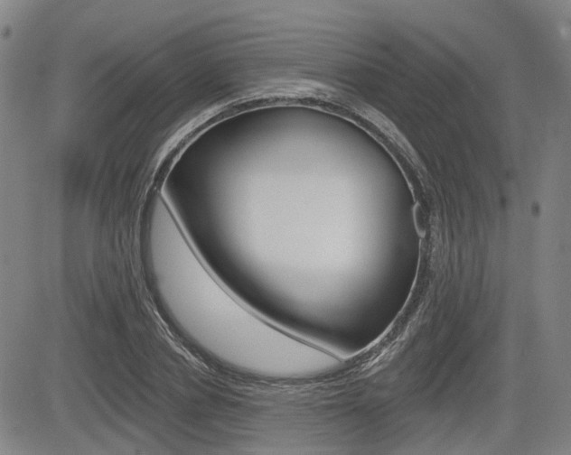 X0000085060834200703051030
