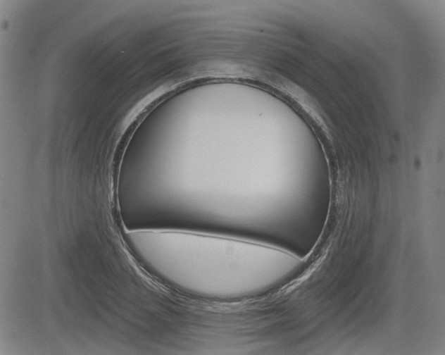 X0000085060837200703051030