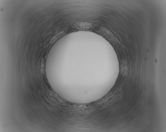 X0000085060866200703051030