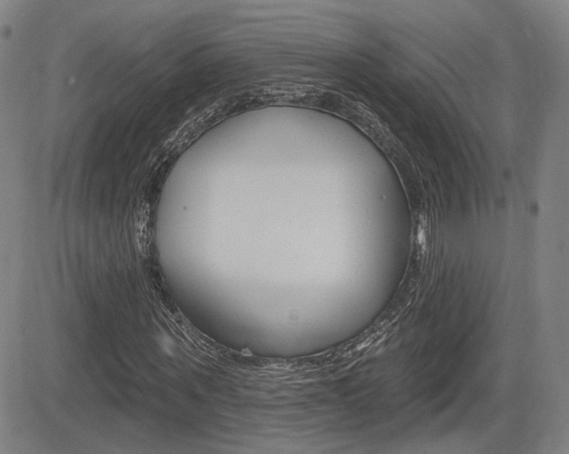 X0000085060867200703051030