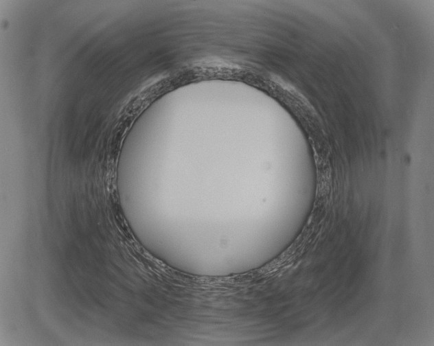 X0000085060870200703051030