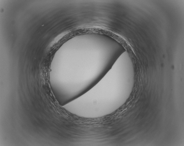 X0000085060871200703051030