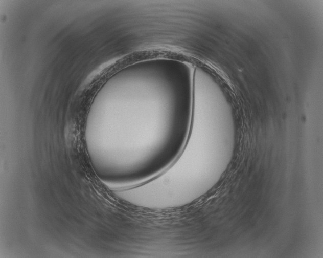 X0000085060872200703051030