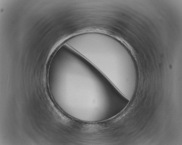 X0000085060894200703051029