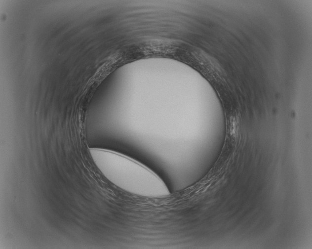 X0000085060915200703051028