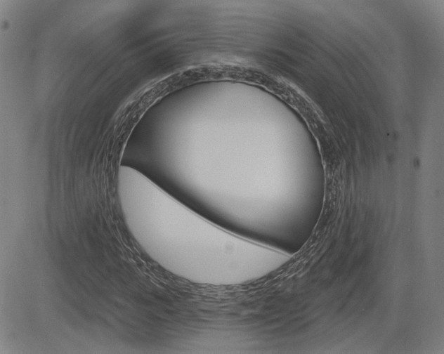 X0000085060919200703051028