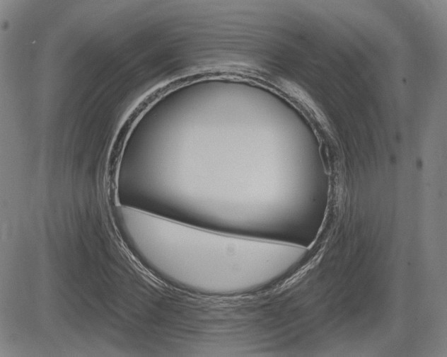 X0000085060924200703051028