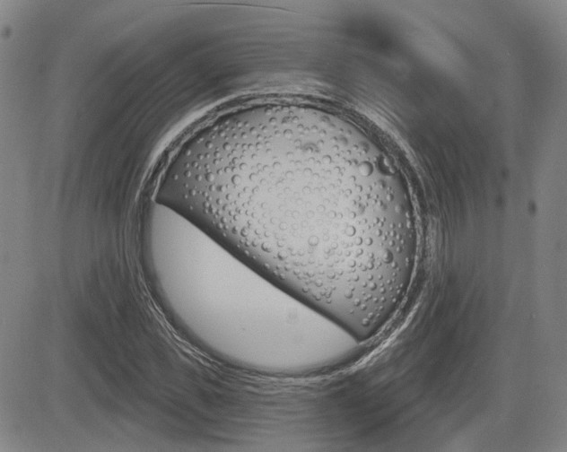 X0000085060925200703051028
