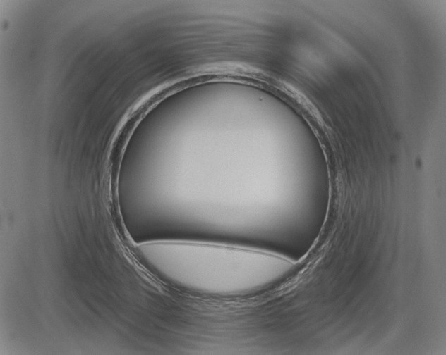X0000085060931200703051029