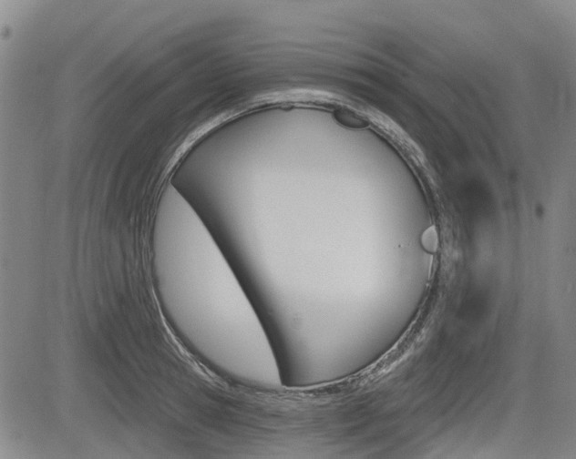 X0000085060945200703051029