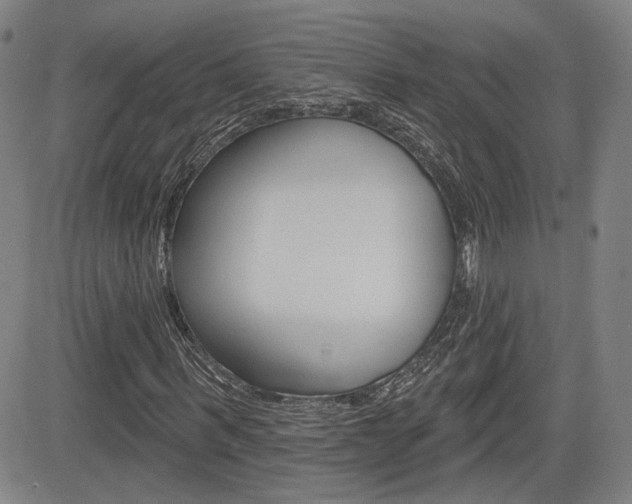 X0000085060963200703051028